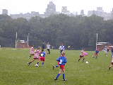 Click to see P9230066.JPG